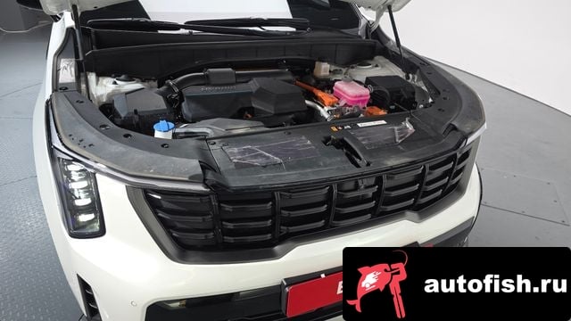 Kia Sorento The New Sorento 4th Generation 2023 года - вид 5