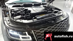 Миниатюра 6