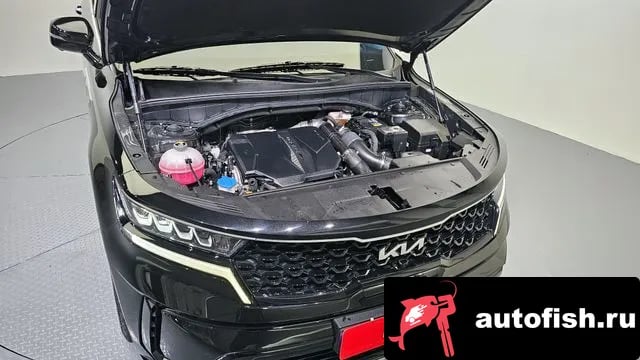 Kia Sorento Sorento 4th Generation 2023 года - вид 6