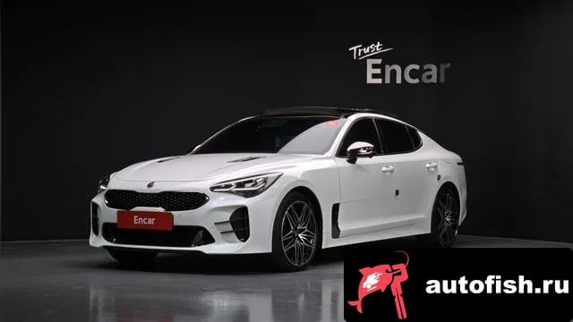 Kia Stinger Stinger Meister 2020 года - вид 1