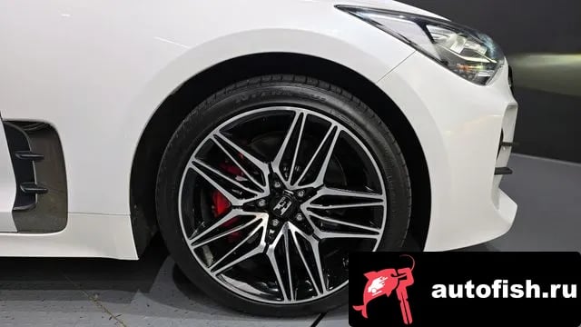 Kia Stinger Stinger Meister 2020 года - вид 5