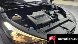 Миниатюра 6