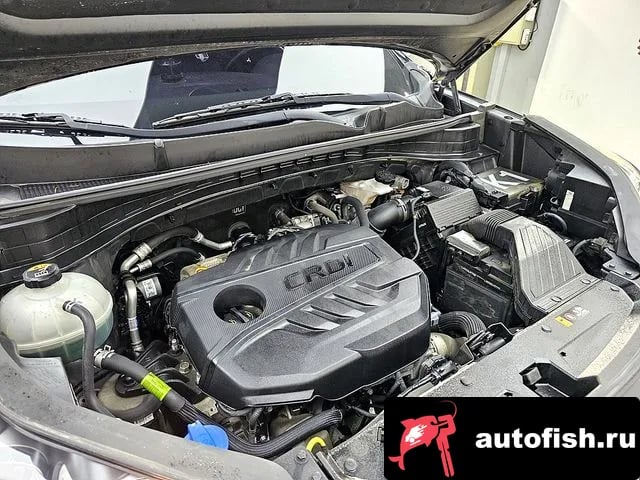 Kia Sportage Sportage The Bold 2020 года - вид 6