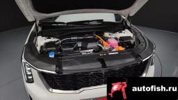 Миниатюра 6