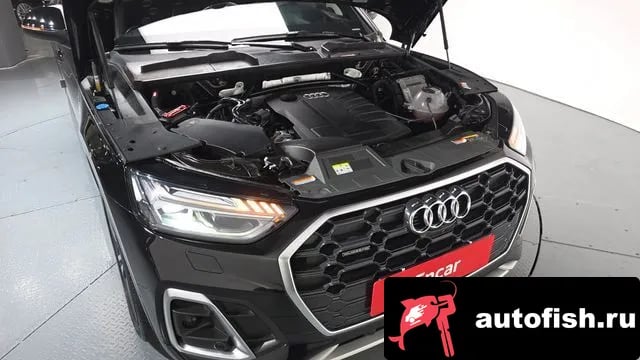 Audi Q5 Q5 (FY) 2021 года - вид 5