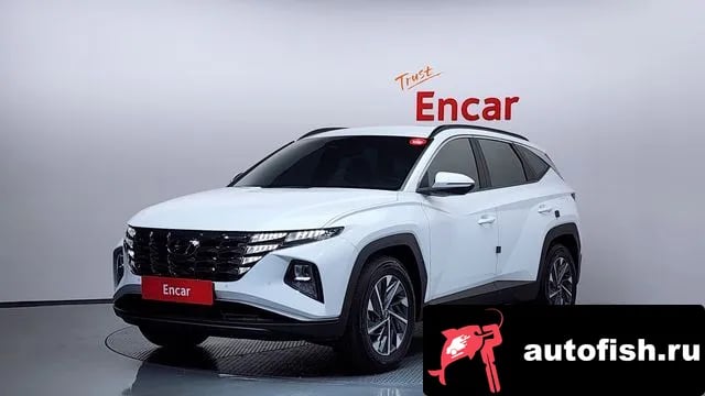 Hyundai Tucson Tucson (NX4) 2023 года - вид 1