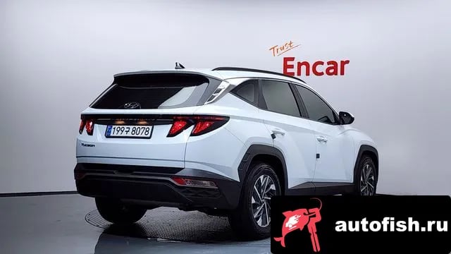Hyundai Tucson Tucson (NX4) 2023 года - вид 2