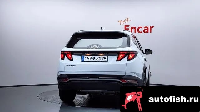 Hyundai Tucson Tucson (NX4) 2023 года - вид 4