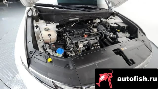 Hyundai Tucson Tucson (NX4) 2023 года - похожие автомобили