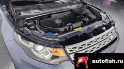 Миниатюра 6