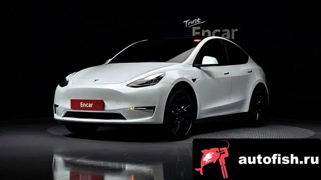 Tesla Model Y Model Y 2022 года - вид 1