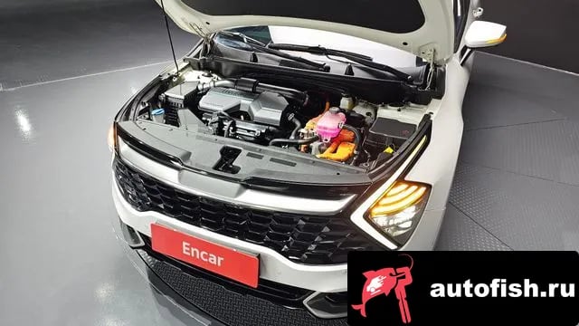 Kia Sportage Sportage 5th Generation Hybrid 2022 года - вид 6