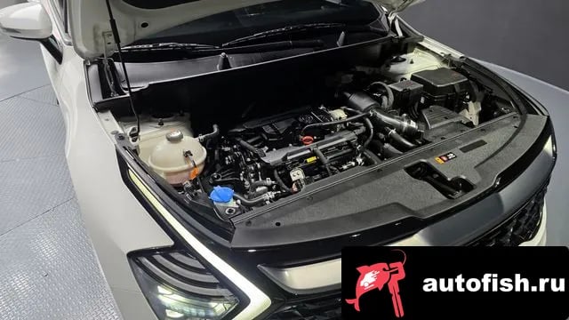 Kia Sportage Sportage 5th Generation 2023 года - вид 6