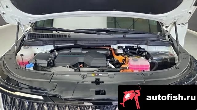 Kia Carnival The New Carnival 4th Generation 2024 года - вид 6
