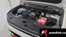 Миниатюра 6