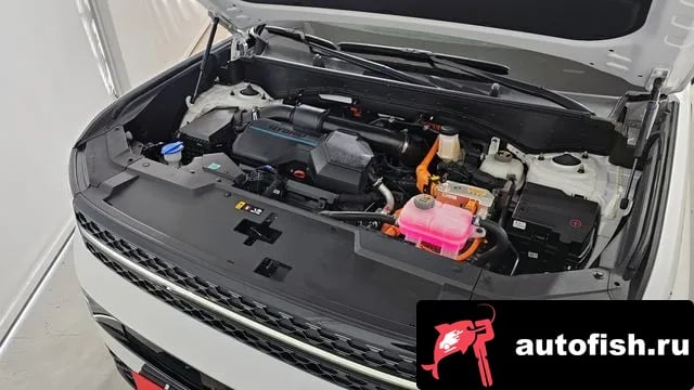 Hyundai Santafe San Tafe (MX5) 2024 года - вид 6