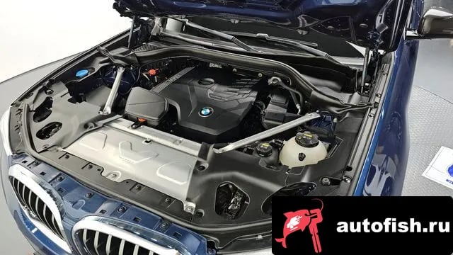 BMW X4 X4 (G02) 2021 года - вид 6