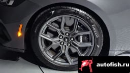 Миниатюра 5