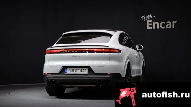 Porsche Cayenne Cayenne (PO536) 2024 года - вид 4