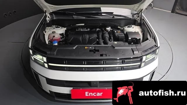 Hyundai Santafe San Tafe (MX5) 2024 года - вид 6