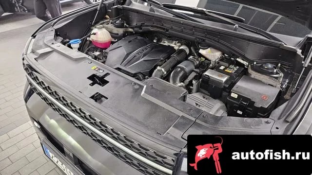 Hyundai Santafe San Tafe (MX5) 2024 года - вид 6