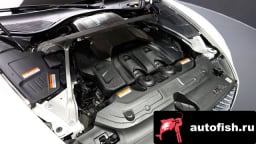 Миниатюра 6