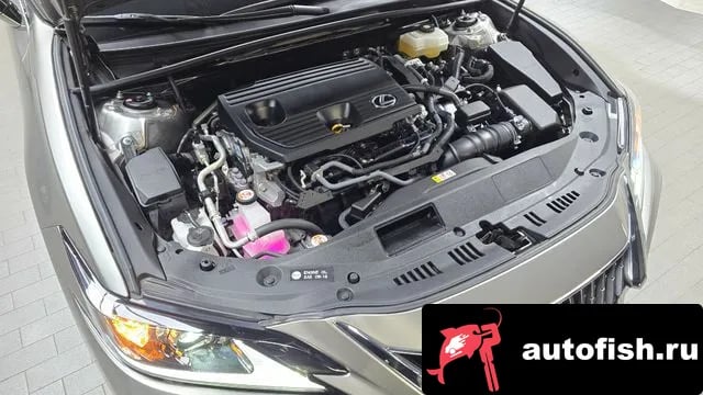 Lexus ES ES300h 7th generation 2022 года - вид 6