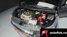 Миниатюра 6