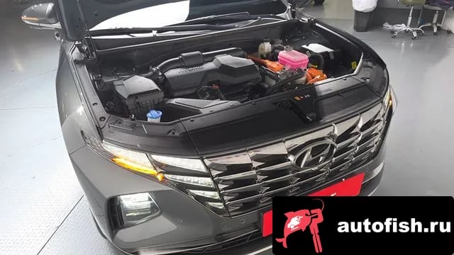 Hyundai Tucson Tucson Hybrid (NX4) 2022 года - вид 5