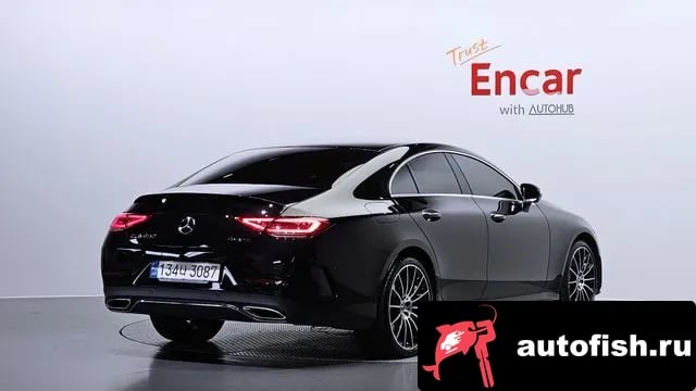 Mercedes-Benz CLS-Class CLS-Class C257 2020 года - вид 2