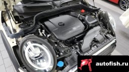 Миниатюра 6