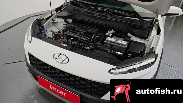 Hyundai Kona The New Kona 2022 года - вид 6