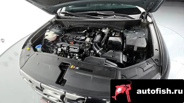 Hyundai Tucson Tucson (NX4) 2023 года - вид 6