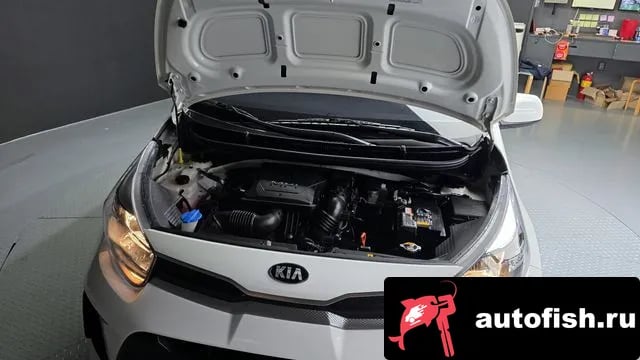 Kia morning Morning Urban (JA) 2021 года - вид 6