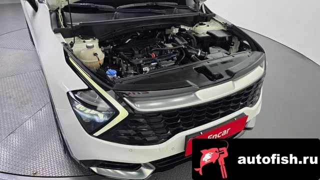 Kia Sportage Sportage 5th Generation 2021 года - вид 6