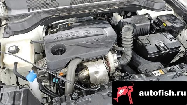KG Mobility (Ssangyong) KORANDO Beautiful Korando 2020 года - вид 6