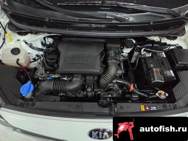 Kia morning Morning Urban (JA) 2021 года - вид 6