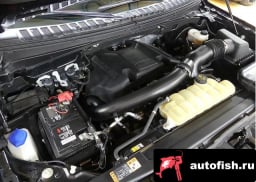 Миниатюра 6