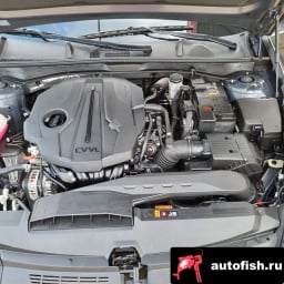 Миниатюра 6