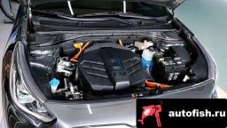 Миниатюра 6