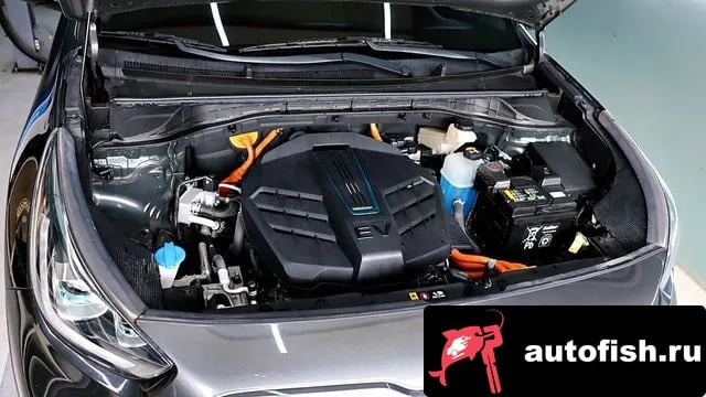 Kia Niro Niro EV 2021 года - вид 6