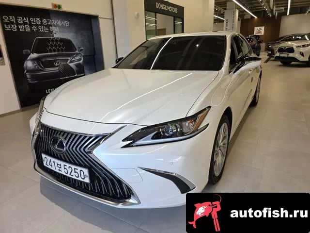 Lexus ES ES300h 7th generation 2020 года - вид 1