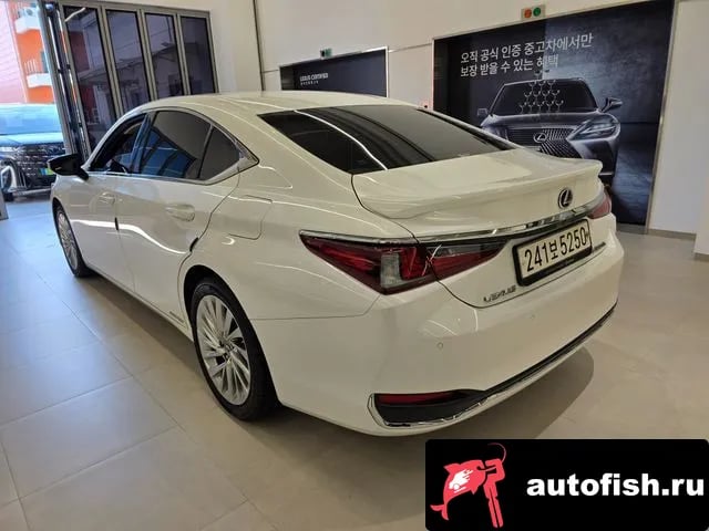 Lexus ES ES300h 7th generation 2020 года - вид 2