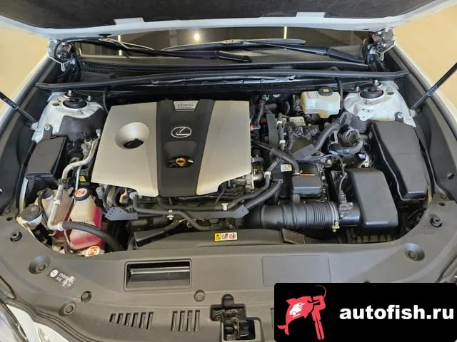 Lexus ES ES300h 7th generation 2020 года - вид 6