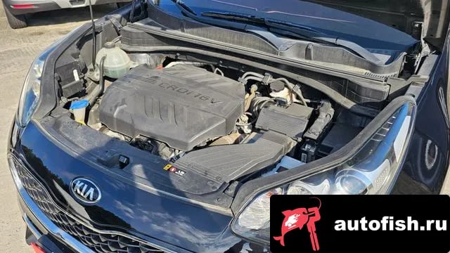 Kia Sportage Sportage The Bold 2018 года - вид 6