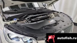 Миниатюра 6