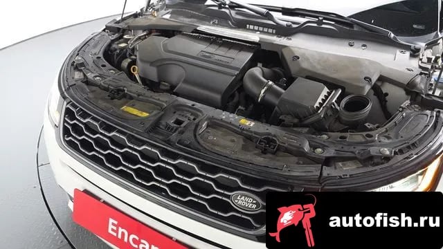 Land Rover Range Rover Evoque Range Rover Evoque 2nd Generation 2022 года - вид 6