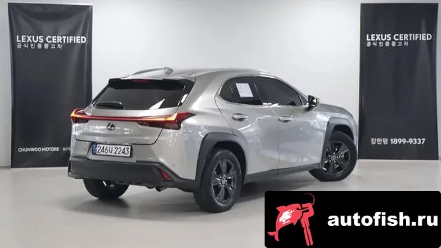 Lexus UX UX300h 2024 года - вид 2