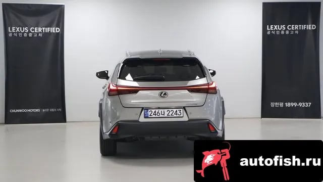 Lexus UX UX300h 2024 года - вид 4