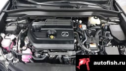 Миниатюра 6